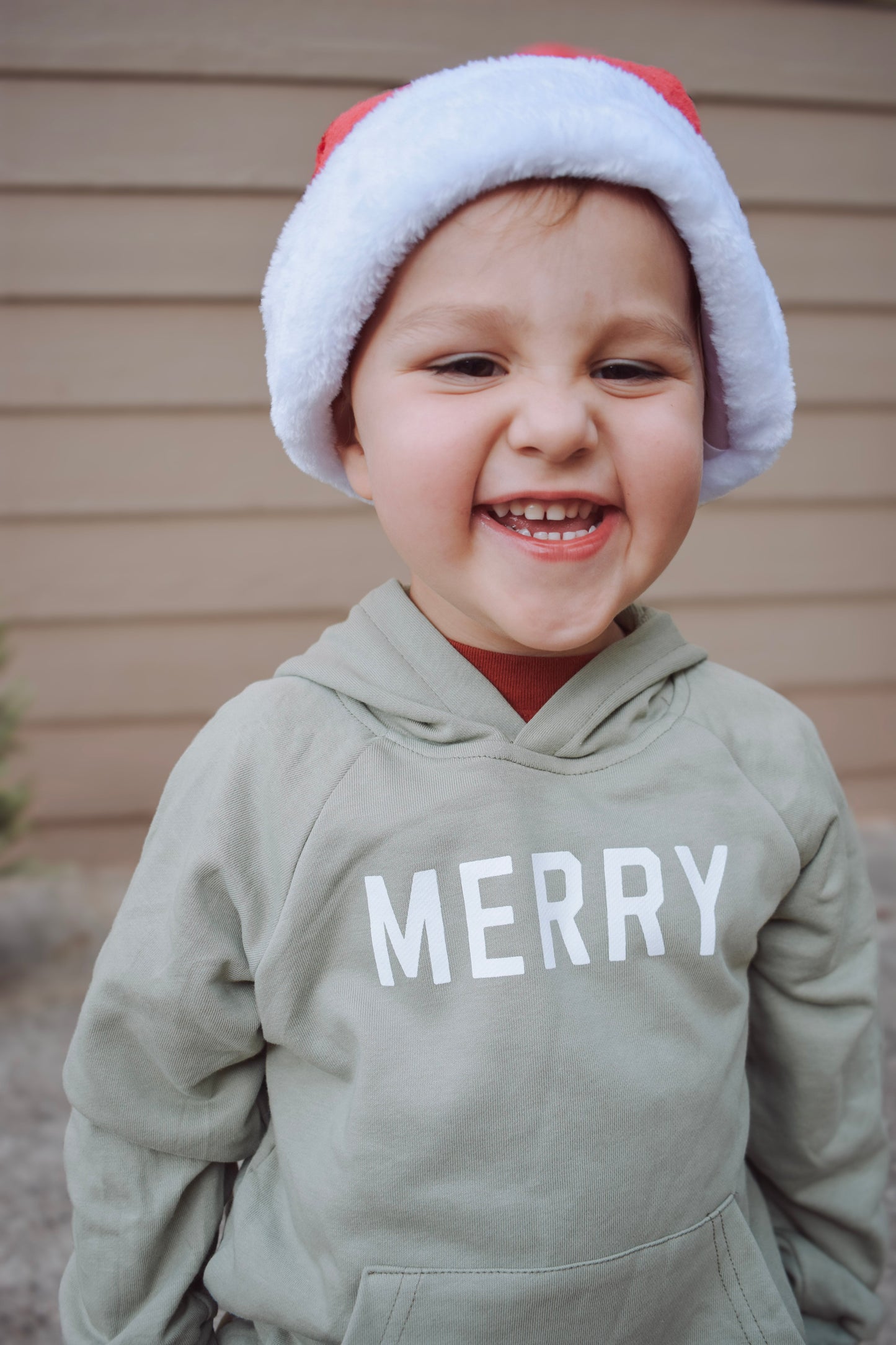 Merry Christmas Graphic Hoodie or Crewneck Sweatshirt | Baby & Toddler