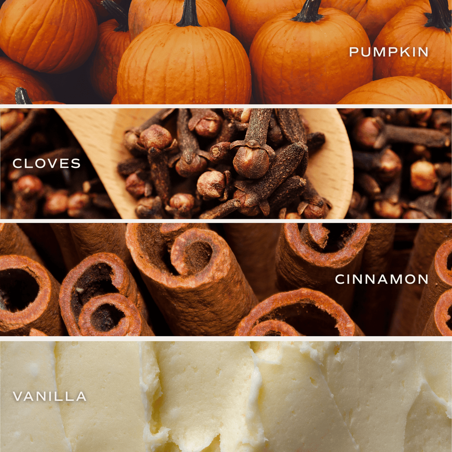 Pumpkin Spice Soy Candle - Ceramic Pumpkin Jar - 8 oz